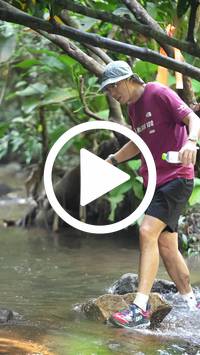 BIB:  <button type="button" onclick="openModal(27545743)" class="btn btn-primary btn-sm float-right" data-toggle="modal" data-target=".modal-high-quality">
                <i class="fa fa-download"></i> Download
                </button>